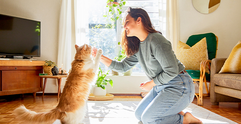 Woman playing with her cat in her living room
