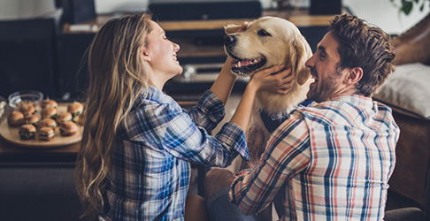 Couple Petting dog in loving room